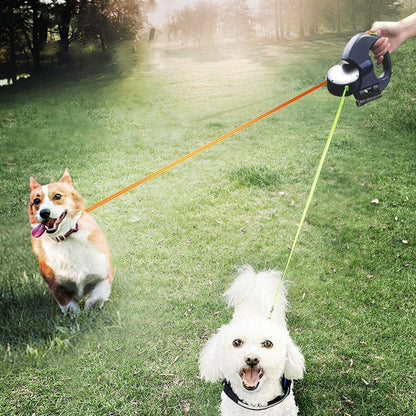Tangle-Free Control for Safe Night Walks with Your Dog