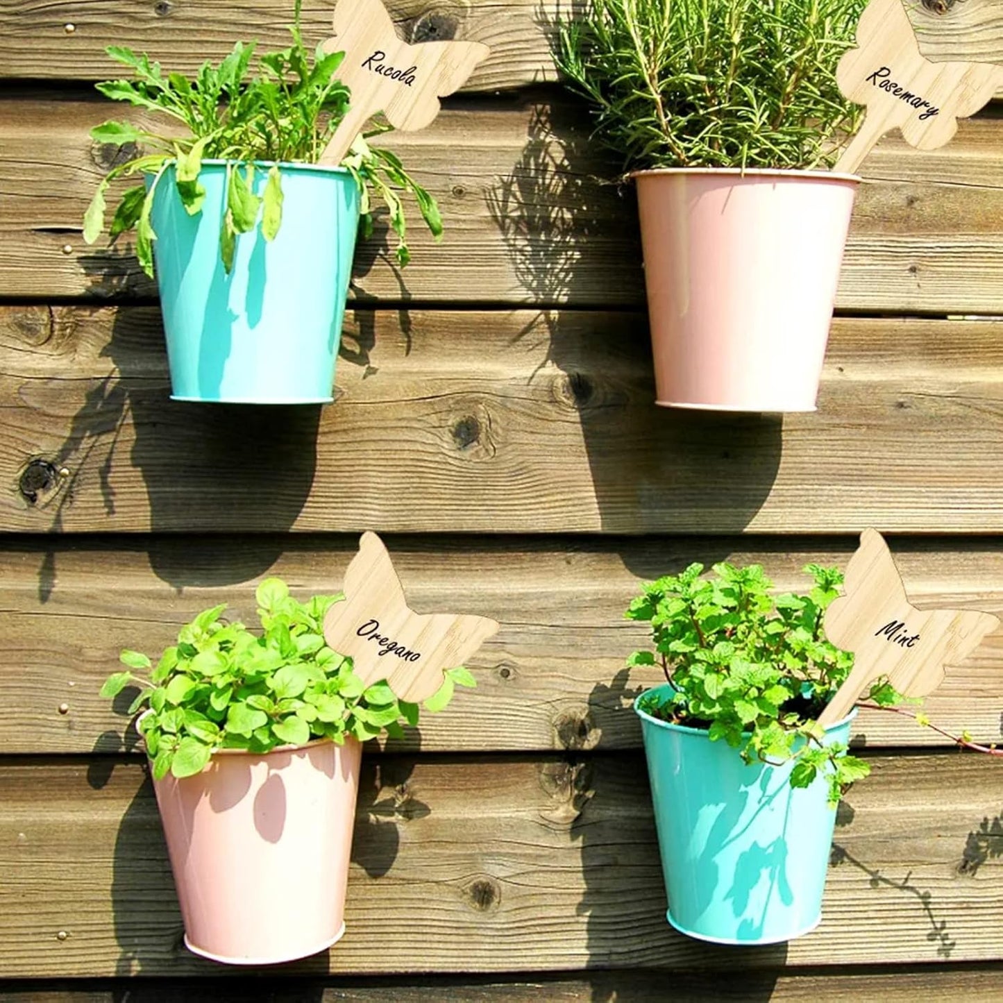 Reusable Wooden Plant Care Labels – Never Forget Your Plants