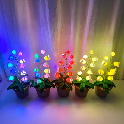 Transform Any Room with Cozy Ambient Lighting