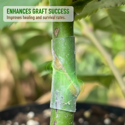 Safe and Fast Healing Grafting Sleeves for Enhanced Yields
