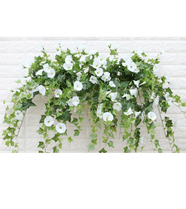 Buy 3, Get 3 Free | Vibrant, Low-Maintenance Color That Lasts