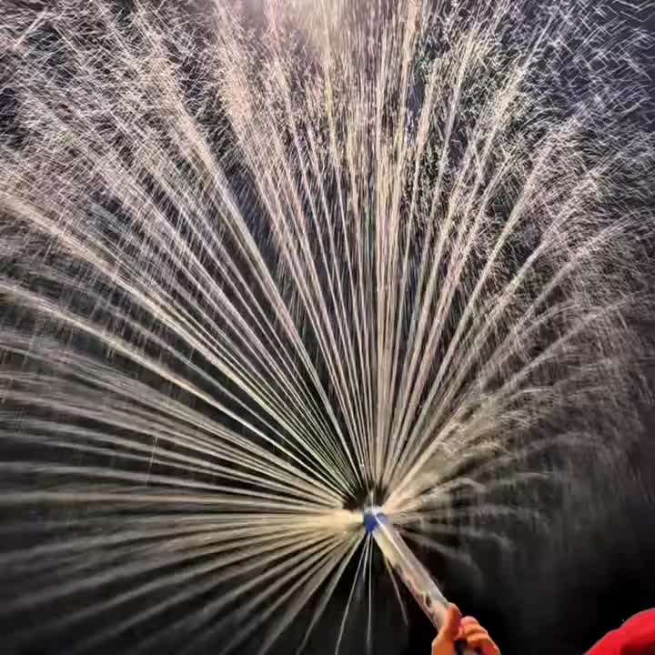 Water Blasters with Extended Handle for Splashing Fun