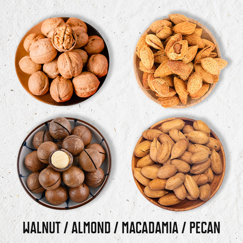 Nut Cracker for Mess-Free and Effortless Shelling