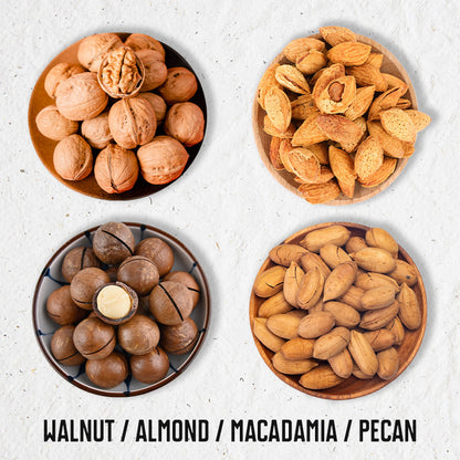 Nut Cracker for Mess-Free and Effortless Shelling