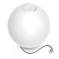 1 Smart Cat Ball