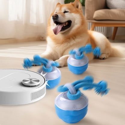 Keep Your Dog Mentally Engaged and Energetically Happy