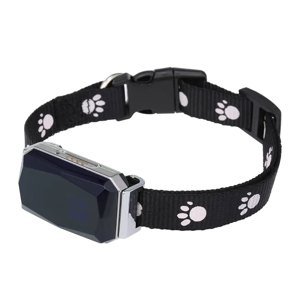 Durable Dog Collar with Waterproof GPS Tracking