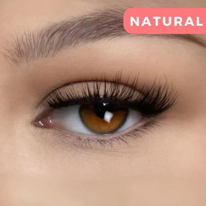 Magnetlash Pro Kit for Effortless Eyelash Application