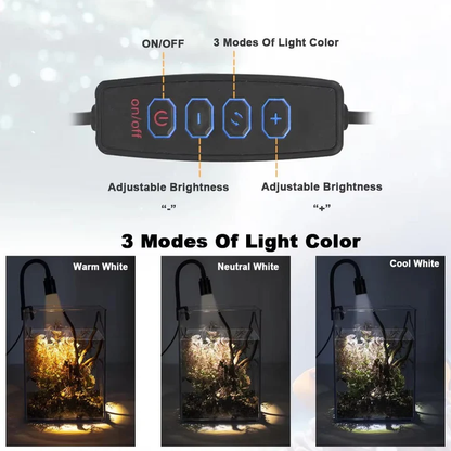 Illuminate Your Aquarium with Stunning, Vibrant Clarity
