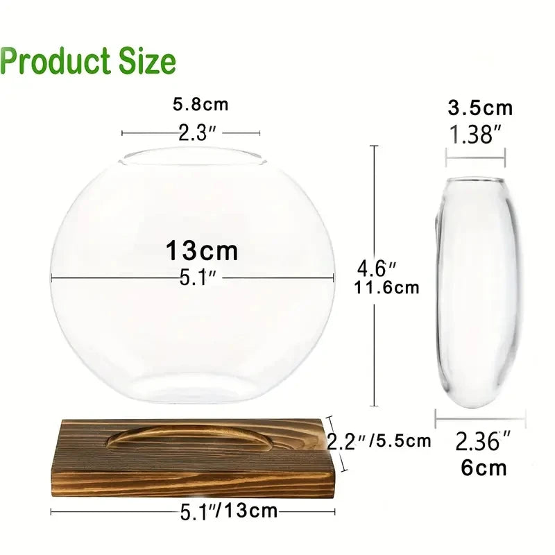 2-Piece Glass Terrarium Set with Wooden Stand | Hydroponic & Cutting Test Tube Vases | Contemporary Home & Office Decor