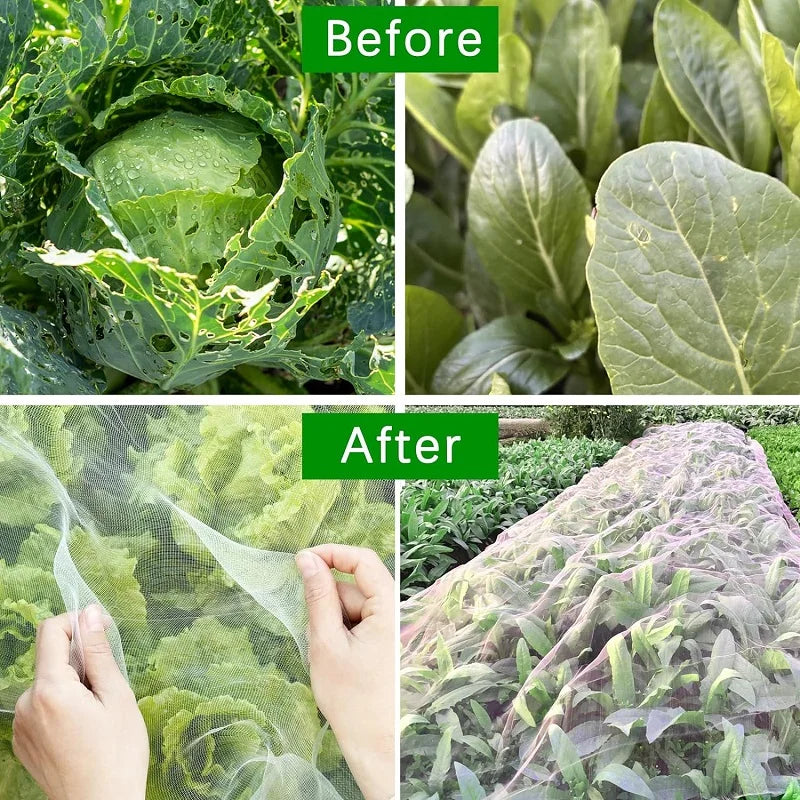 Plant Protection Netting – HDPE Insect and Bird Barrier, Light-Transmissive, Ideal for Vegetables & Fruits