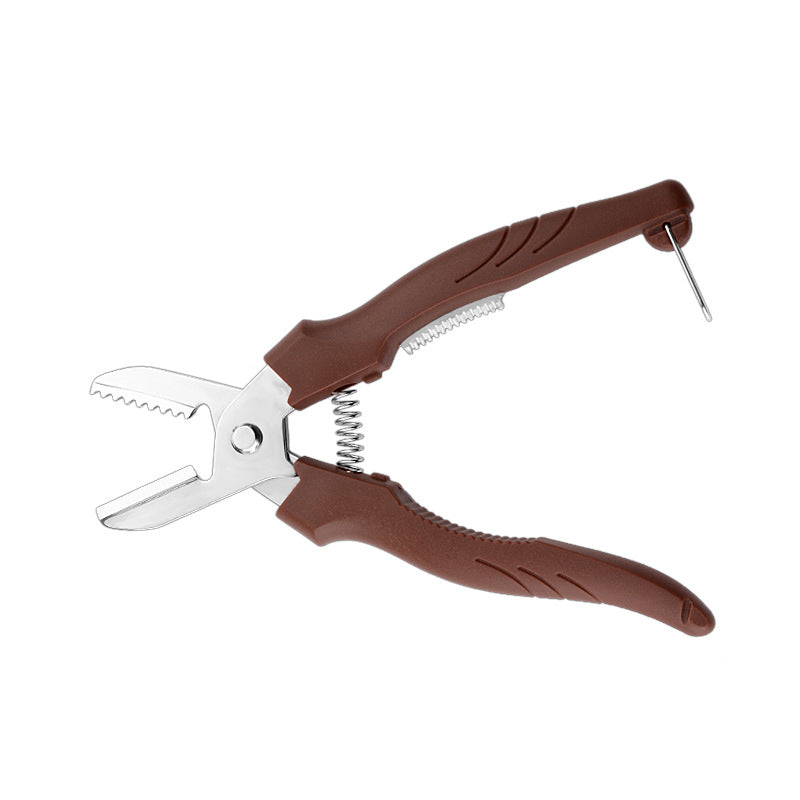 Walnut and Chestnut Shell Opener Tool