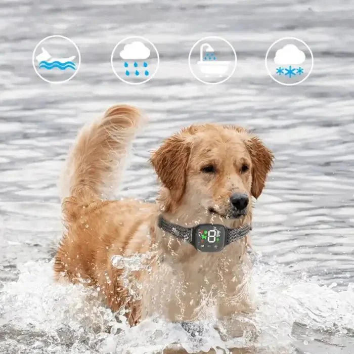 Touch Screen Dog Bark Control Collar