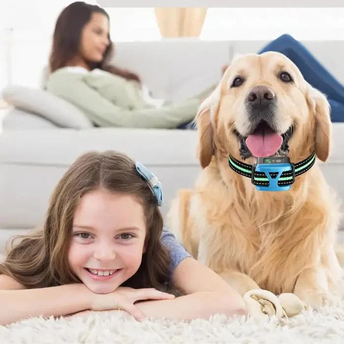 Rechargeable Anti-Bark Collar for Dogs