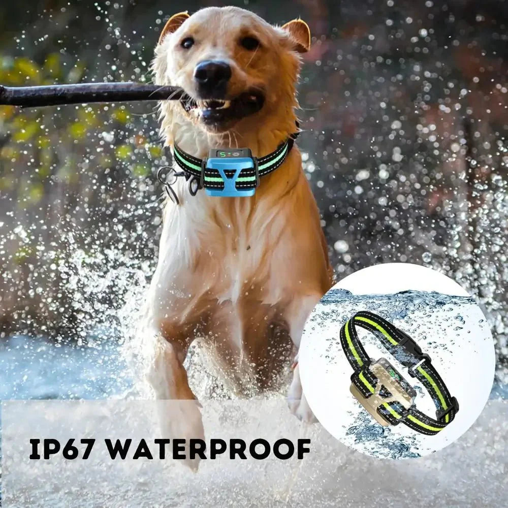 Rechargeable Anti-Bark Collar for Dogs