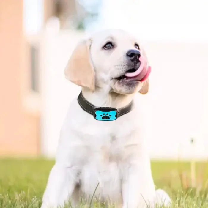 Anti-Bark Dog Collar - Bark Control Device