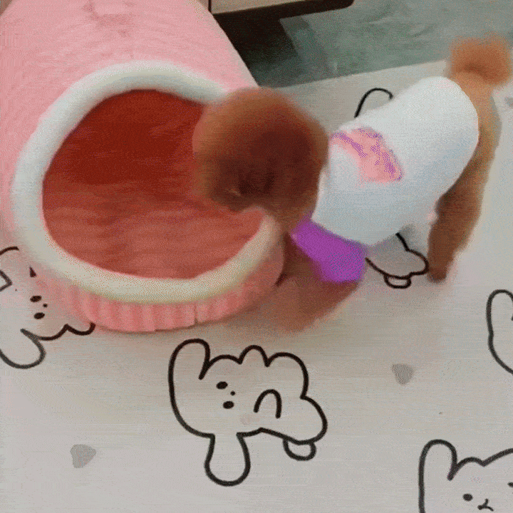 Winter Pet Cave – Keeps Your Animal Warm, Safe, and Cozy