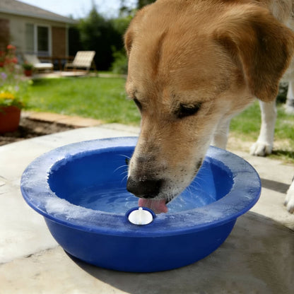 Cooling Pet Bowl for Daily Hydration and Refreshment