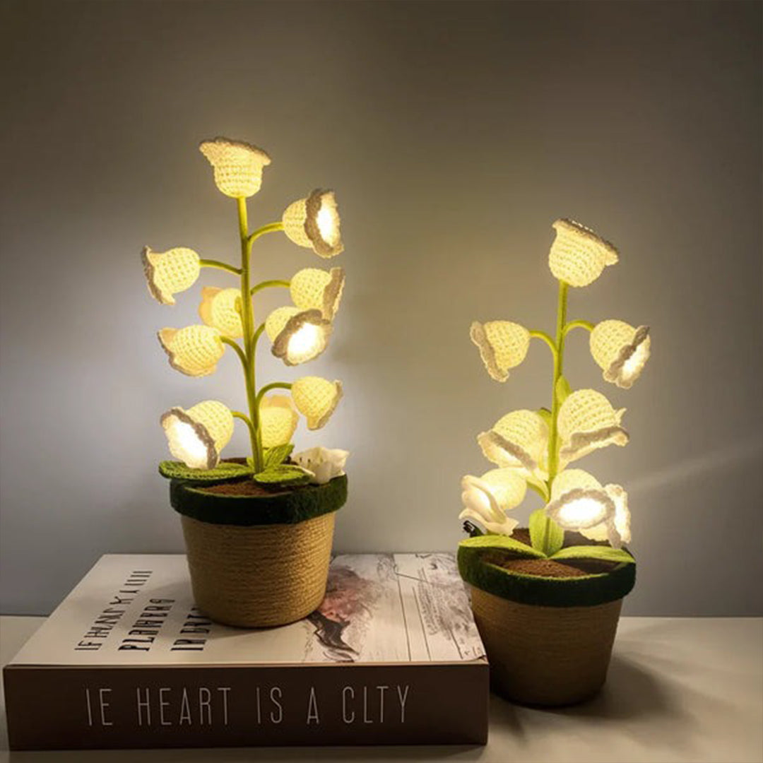 Cozy Night Comfort with Eternal Glow