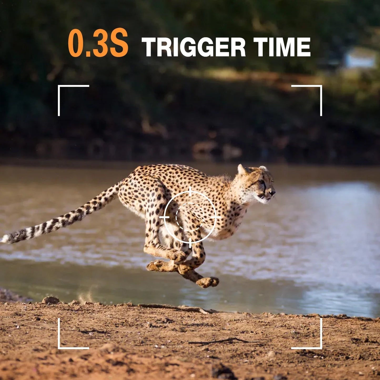 Version 3 of Wildsnap