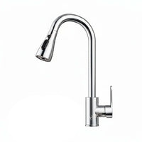 Pull-out Faucet - Electroplated Silvery