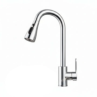 Flexible Pull-Out Kitchen Faucet with Swivel and Spray Options