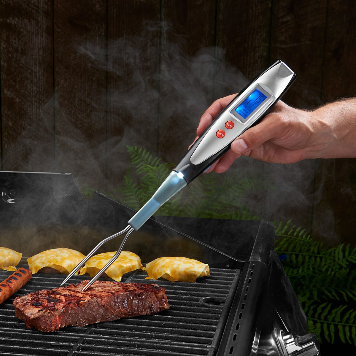 Precision Meat Thermometer with Instant Read & LED Backlight