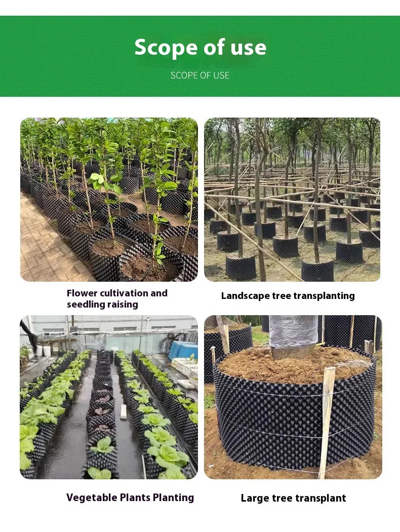 Enhanced Root Growth Solution for Flourishing Plants