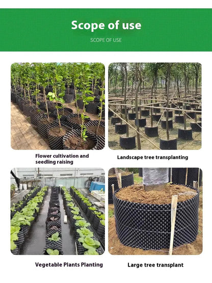 Enhanced Root Growth Solution for Flourishing Plants