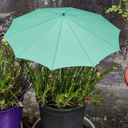 Outdoor Sunshade for Plants