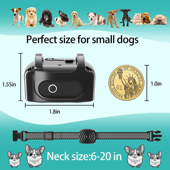 Anti-Bark Collar for Small Dogs