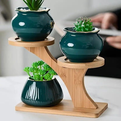 Stylish and Instant Plant Organization and Display with Eco Bamboo