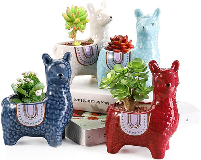 Brighten Your Space Instantly with Charming Greenery