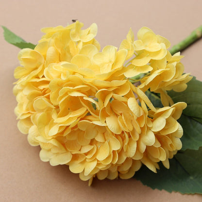 Forever Lively Flowers Without Maintenance - Hydrangea Decoration
