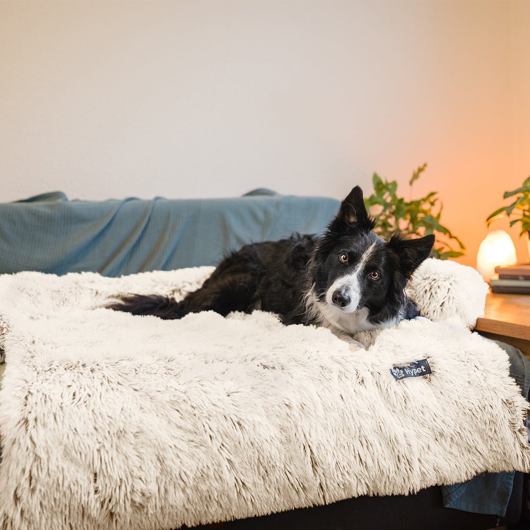 Washable, Warm, and Waterproof Autumn Cushion for Your Dog