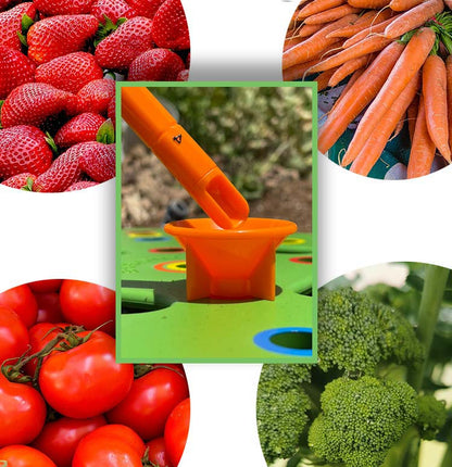 Garden Bed Planting Solution for Bigger, Healthier Yields