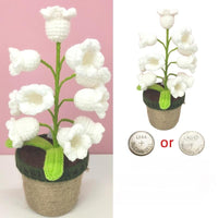 Lily (3-Petal)