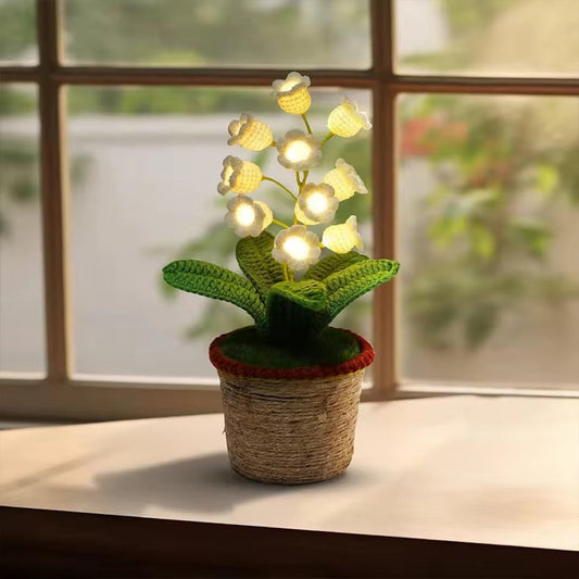 Cozy Night Comfort with Eternal Glow