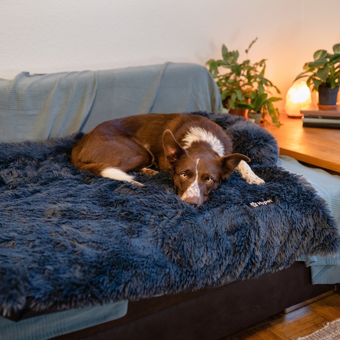 Washable, Warm, and Waterproof Autumn Cushion for Your Dog