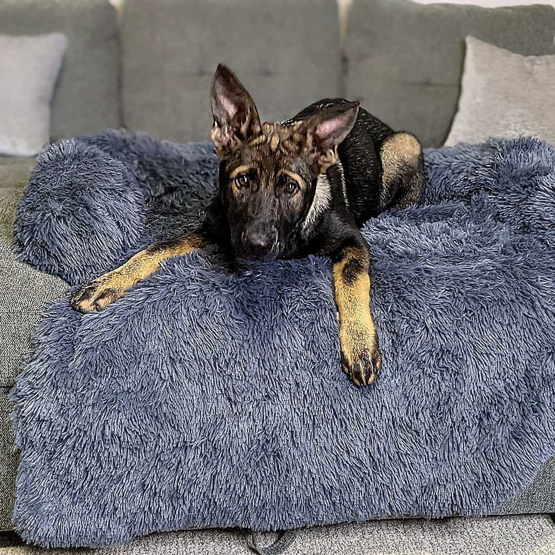 Washable, Warm, and Waterproof Autumn Cushion for Your Dog