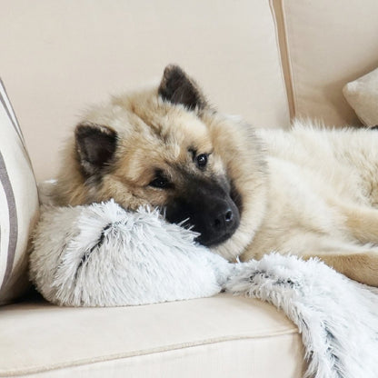 Washable, Warm, and Waterproof Autumn Cushion for Your Dog