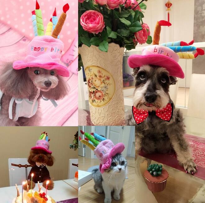 Party Hat for Cats and Dogs - Birthday Celebration Accessory