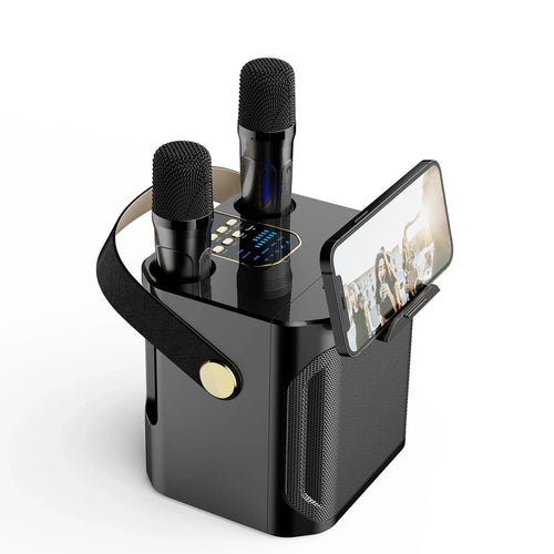 Bluetooth Karaoke Speaker with High Power and Portability