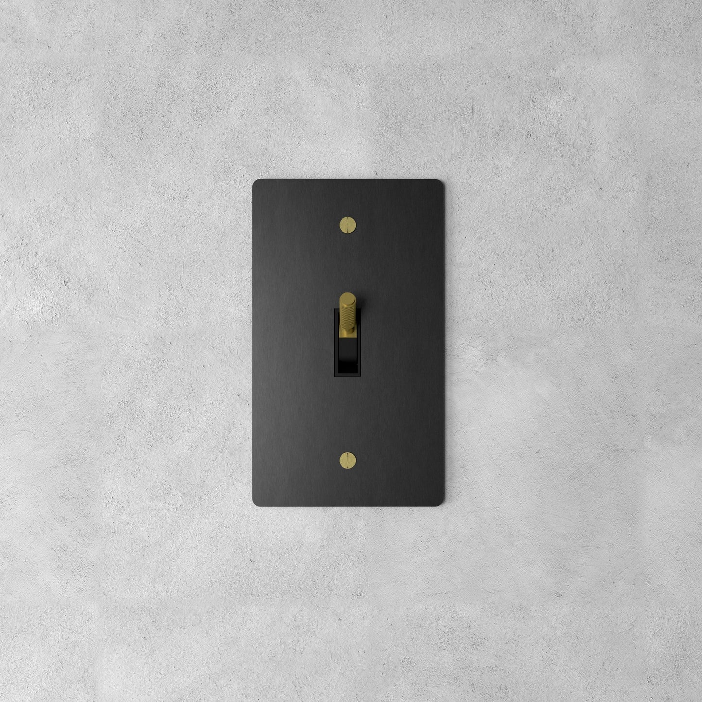 Brass Rocker Switch