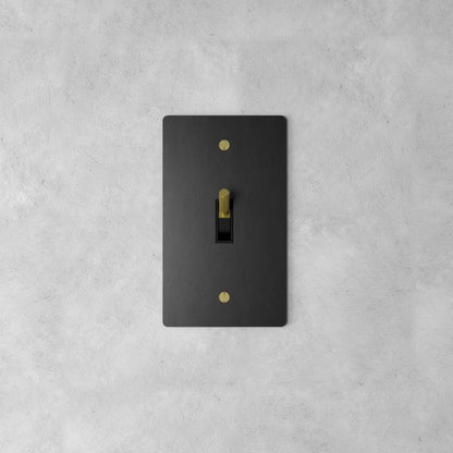 Brass Rocker Switch
