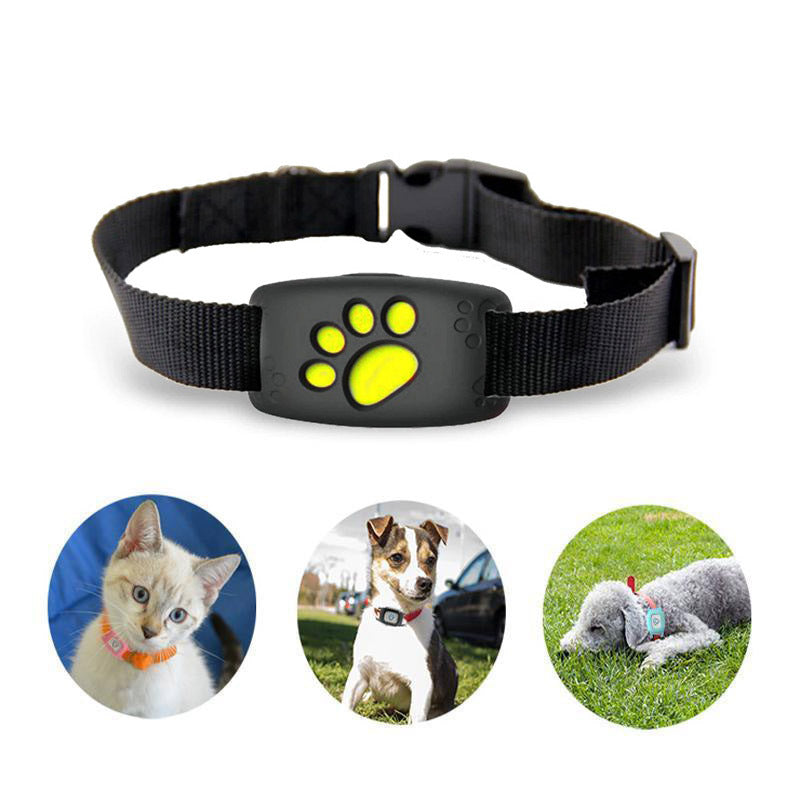 Waterproof Cat GPS Collar Tracker – No Subscription Required