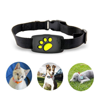 Waterproof Cat GPS Collar Tracker – No Subscription Required