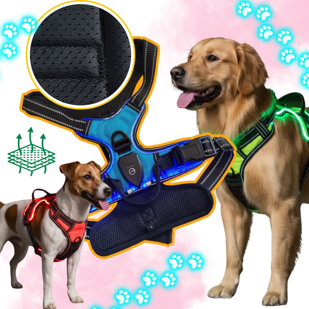 Illuminate Dog Harness with No-Pull Control