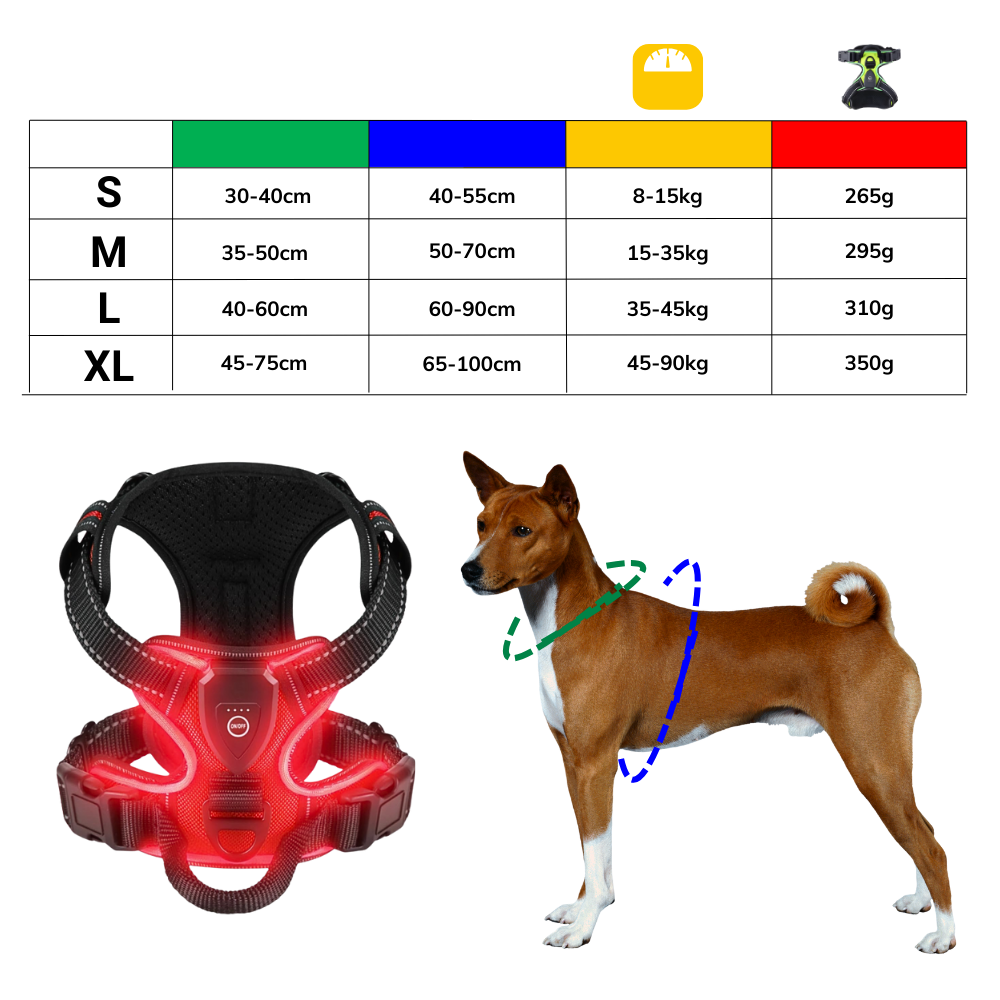 Illuminate Dog Harness with No-Pull Control