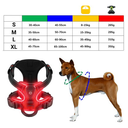 Illuminate Dog Harness with No-Pull Control